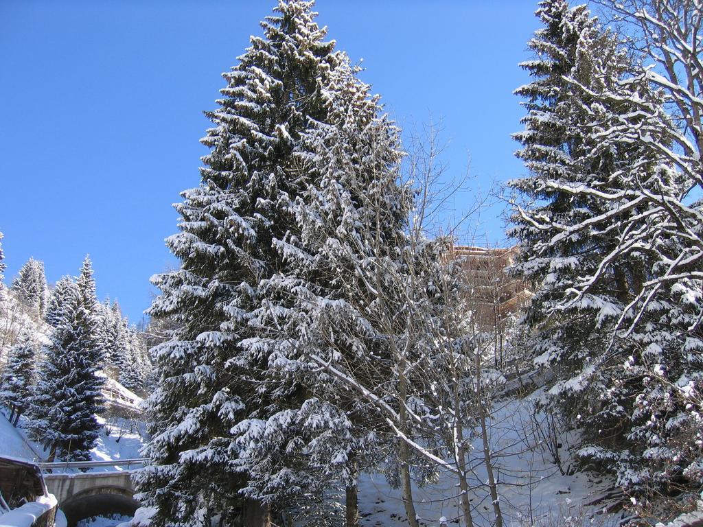 Hotel Rododendro Foppolo Dış mekan fotoğraf